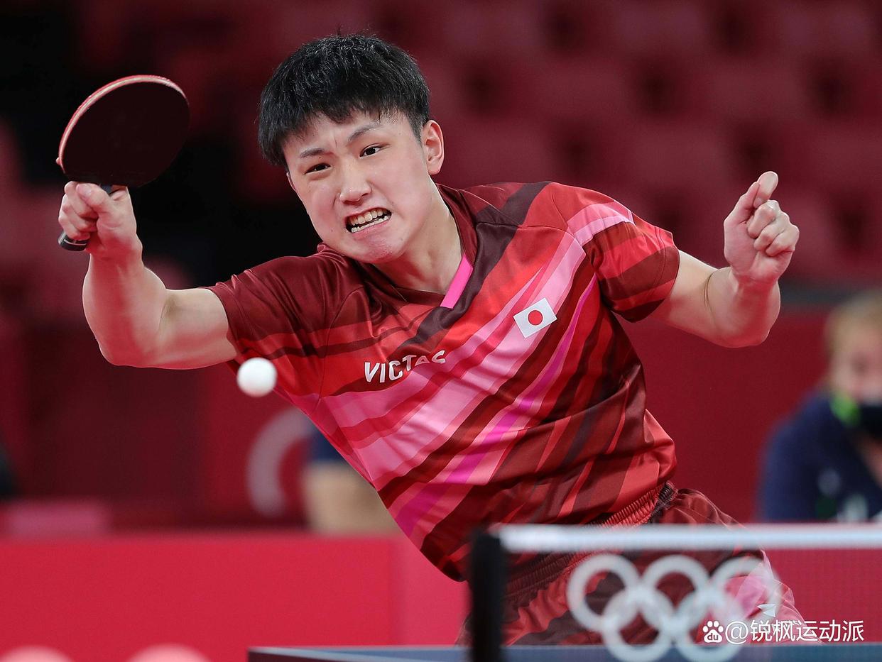 德国队翻盘韩国队，张本智和状态火热