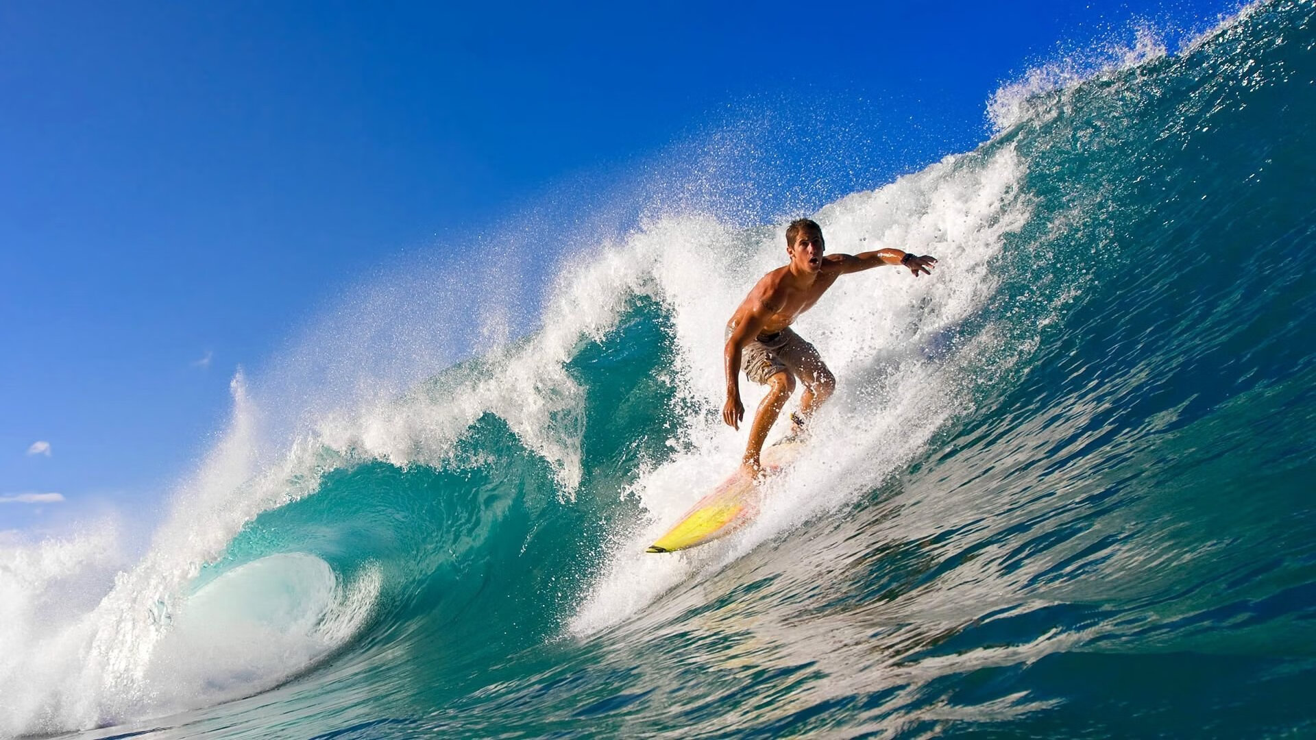 猛龙对阵快船，文班亚马如何成为胜负手？