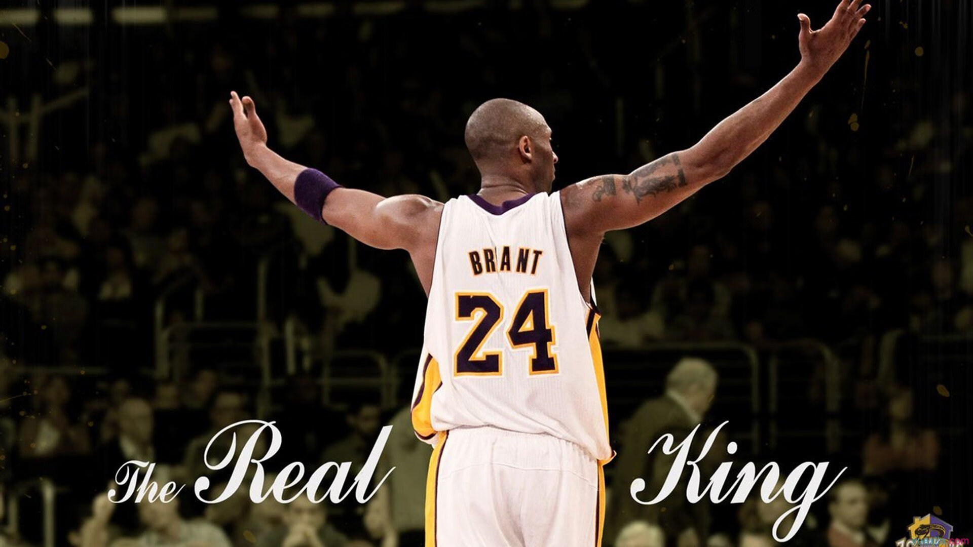 开云官网-骑士对阵新疆队，布伦森比赛走势一手掌控